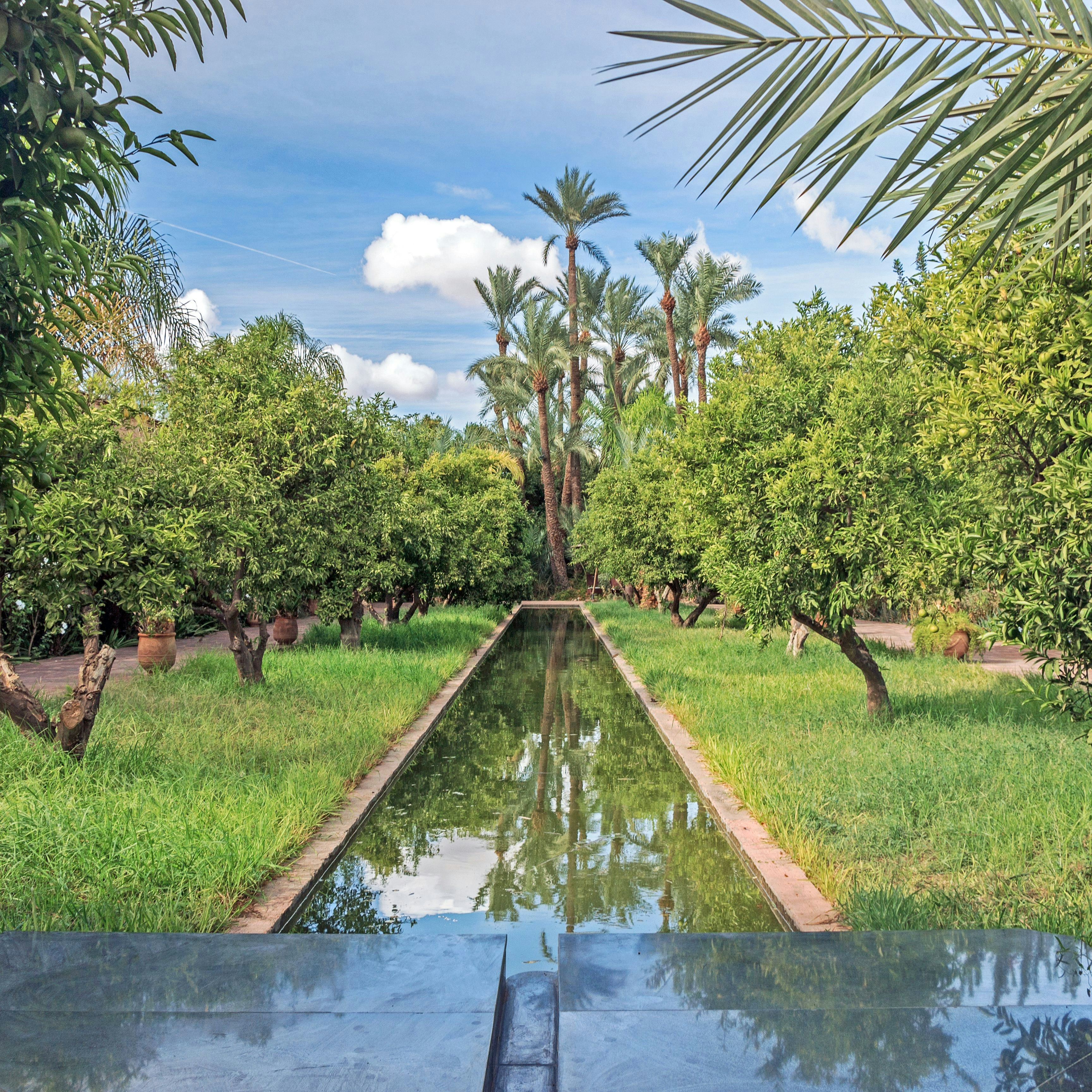 green plants in garden at Palmeraie museum in Morocco; Musée de la Palmeraie

 Shutterstock ID 777811729; your: Bridget Brown; gl: 65050; netsuite: Online Editorial; full: POI Image Update